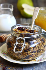 Granola from rye and oat flakes with dried cranberries and cocon