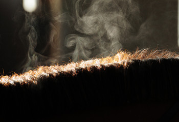 Mähnenkamm © lichtreflexe