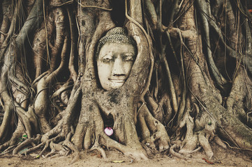 Fototapeta na wymiar Buddha Head at Ayuttaya