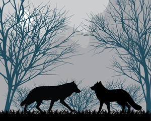 Forest wolves