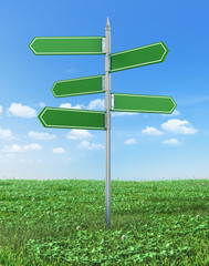 Road sign in green grass field over blue sky background.