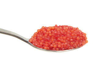 Lumpsucker (Cyclopterus lumpus) Caviar on a teaspoon