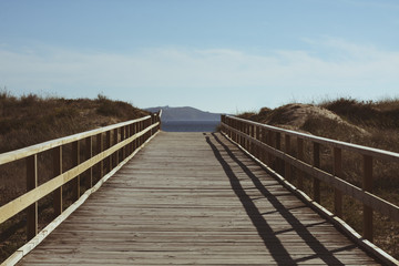 Fototapeta premium boardwalk to the beach