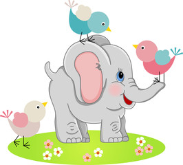 Cute Elephant with a three birds