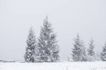 Fantastic winter landscape