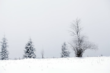 Fantastic winter landscape