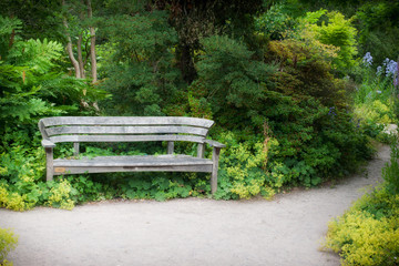 Wooden bench in a beautiful park garden.