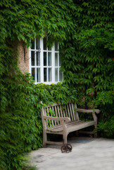 Fototapeta na wymiar Wooden bench in a beautiful park garden.
