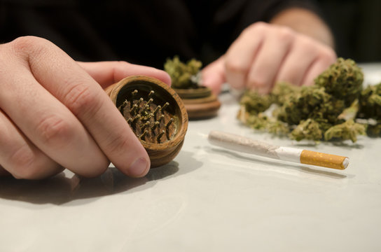 Anonymous man preparing marijuana drug cigar