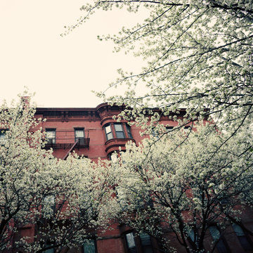New York city Spring