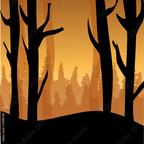 forest design