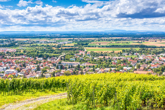 Blick von der Hessischen Bergstra&szlig;e zum Donnersberg
