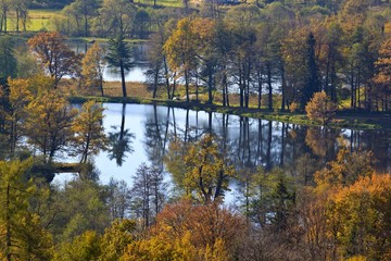 lake in autumn colors