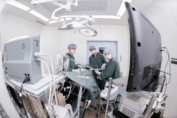 Obraz premium veterinarian doctor in operation room for laparoscopic surgical