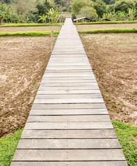 wooden bridge in to the paddy