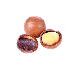 Shelled and unshelled macadamia nuts isolated on white