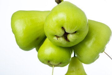 rose apple on white background