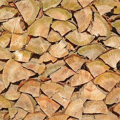 Woodpile kindling firewood pattern background