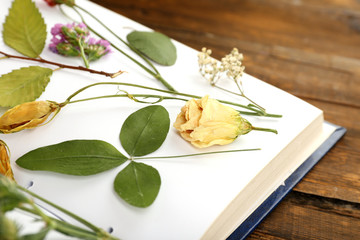 Dry up plants on book on table close up
