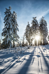 winter hike