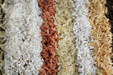 Different types of rice close up