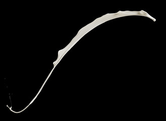 flying splashing milk isolated on black background