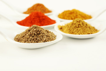 Different kinds of spices in ceramics spoons isolated on white