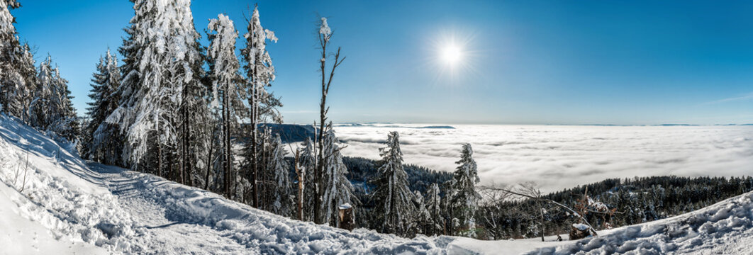 winter hike