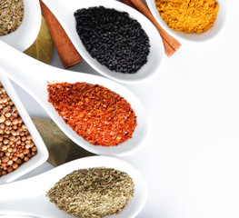 Different kinds of spices in ceramics bowls and spoons isolated