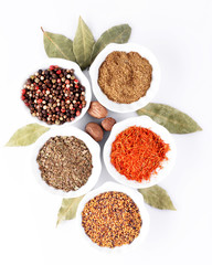 Different kinds of spices in ceramics bowls isolated on white