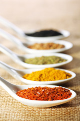 Different kinds of spices in ceramics spoons,
