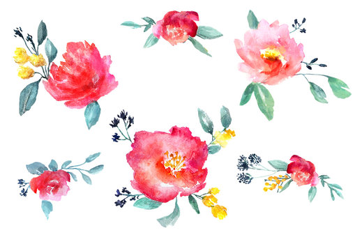 watercolor flowers set
