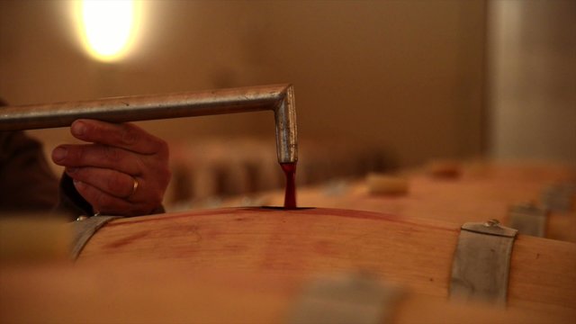 Decanting wine in a barrel's cellar