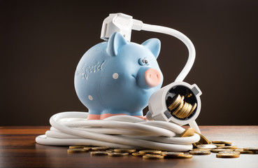 sparschwein mit kabel