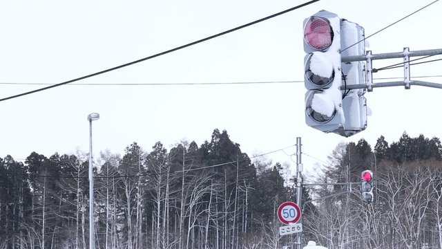着雪したLED信号機
