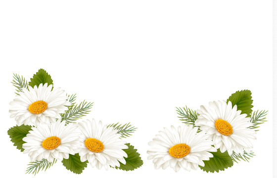 Nature background with white beautiful flowers. Vector illustrat