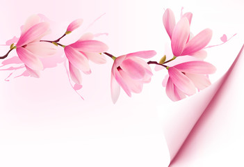 Obraz na płótnie Canvas Spring background with blossom brunch of pink flowers. Vector