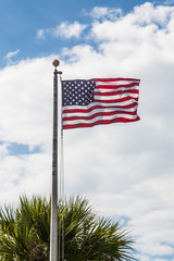 American Flag Blowing Over Palm Tree