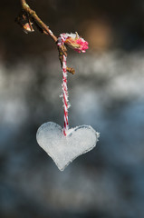 Ice heart. Valentine's Day concept.