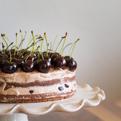 Chocolate Sponge Cake with Cream and Cherries on the Cake Stand