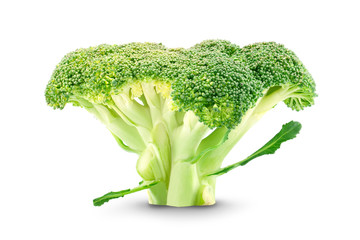 broccoli isolated on white background