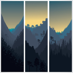 Silhouette of the forest