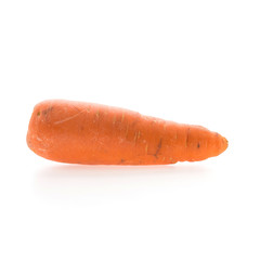 Vegetable carrot