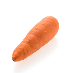 Vegetable carrot