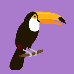 Toucan Sitting On A Branch, Illustration In Flat Style