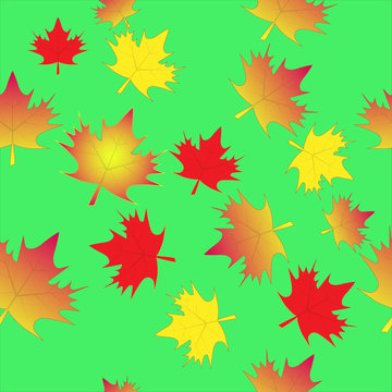 leaf maple isolated seamless background
