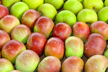 Apples variety