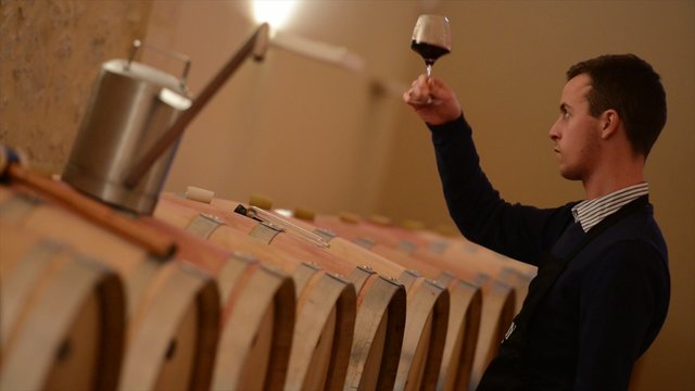 Winemaker tasting wine amongst oak casks.