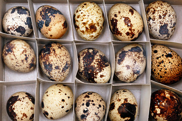 Quail eggs