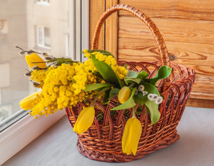 Fototapeta na wymiar Mimosa, willow twigs and tulips in a basket